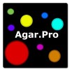 Agar Pro Agar.Pro