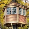 Can You Escape Tree
House Odd1Apps