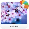 XPERIA™ Spring Theme SonyMobile Communications