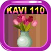 Kavi Escape Game 110 KaviGames