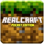 RealCraft Pocket
Survival Survival Land Developer