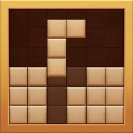 Board Block Puzzle T.Societe