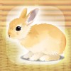 癒しのウサギ育成ゲーム（無料） Hiroki Yamada
